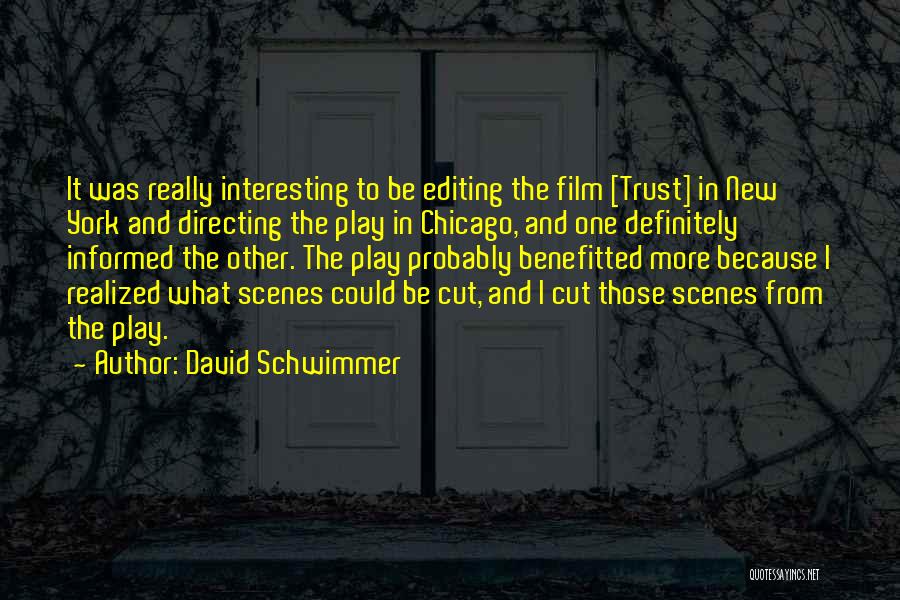 David Schwimmer Quotes: It Was Really Interesting To Be Editing The Film [trust] In New York And Directing The Play In Chicago, And