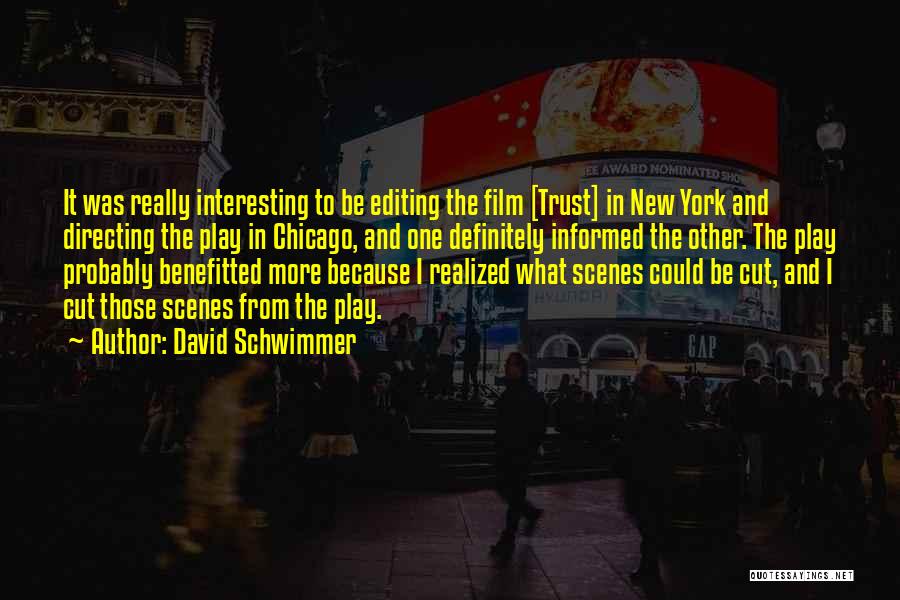 David Schwimmer Quotes: It Was Really Interesting To Be Editing The Film [trust] In New York And Directing The Play In Chicago, And