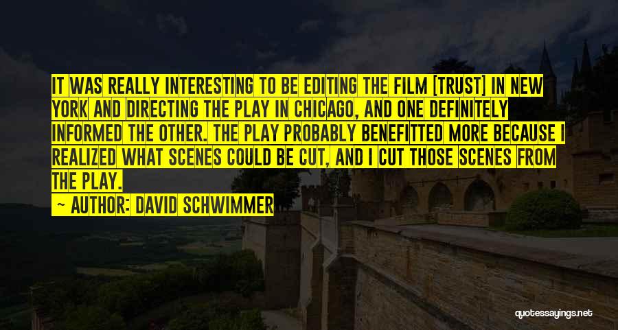 David Schwimmer Quotes: It Was Really Interesting To Be Editing The Film [trust] In New York And Directing The Play In Chicago, And