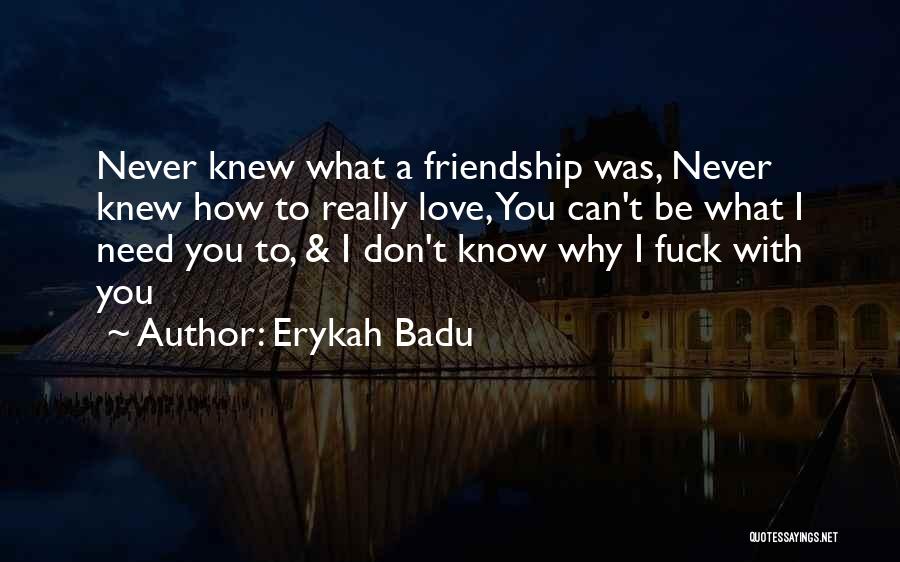 Erykah Badu Quotes: Never Knew What A Friendship Was, Never Knew How To Really Love, You Can't Be What I Need You To,