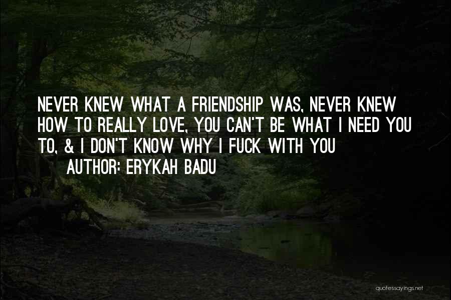 Erykah Badu Quotes: Never Knew What A Friendship Was, Never Knew How To Really Love, You Can't Be What I Need You To,