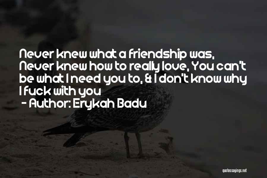 Erykah Badu Quotes: Never Knew What A Friendship Was, Never Knew How To Really Love, You Can't Be What I Need You To,