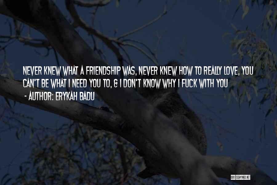 Erykah Badu Quotes: Never Knew What A Friendship Was, Never Knew How To Really Love, You Can't Be What I Need You To,