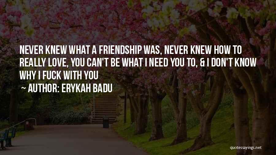 Erykah Badu Quotes: Never Knew What A Friendship Was, Never Knew How To Really Love, You Can't Be What I Need You To,