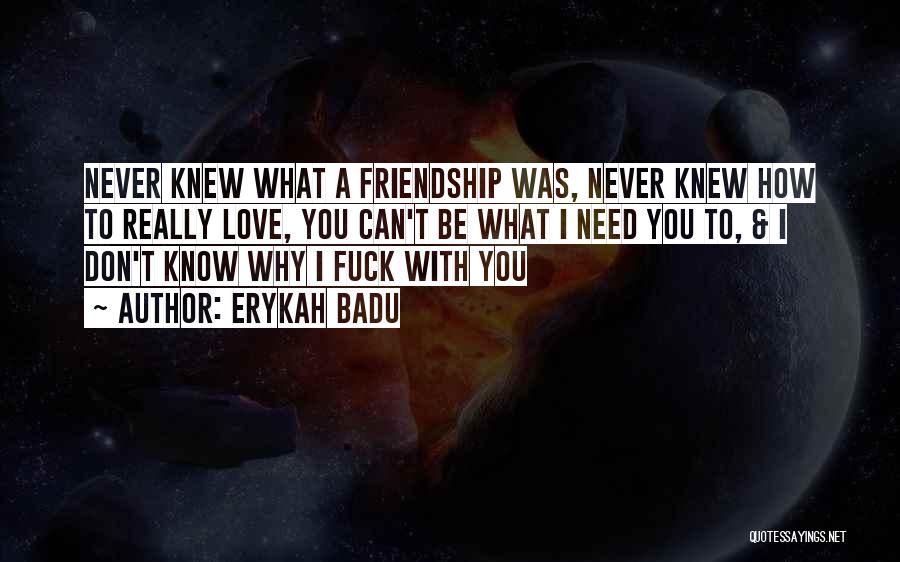 Erykah Badu Quotes: Never Knew What A Friendship Was, Never Knew How To Really Love, You Can't Be What I Need You To,