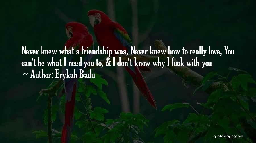 Erykah Badu Quotes: Never Knew What A Friendship Was, Never Knew How To Really Love, You Can't Be What I Need You To,