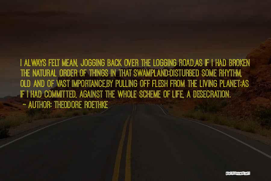 Theodore Roethke Quotes: I Always Felt Mean, Jogging Back Over The Logging Road,as If I Had Broken The Natural Order Of Things In