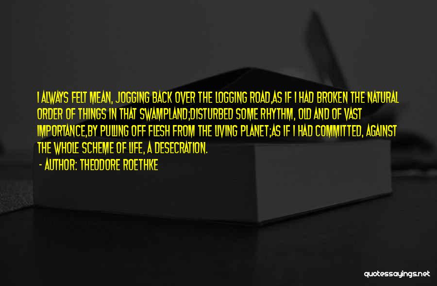 Theodore Roethke Quotes: I Always Felt Mean, Jogging Back Over The Logging Road,as If I Had Broken The Natural Order Of Things In