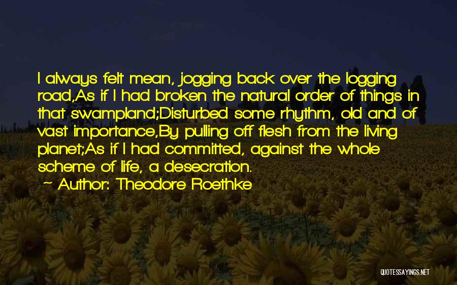 Theodore Roethke Quotes: I Always Felt Mean, Jogging Back Over The Logging Road,as If I Had Broken The Natural Order Of Things In