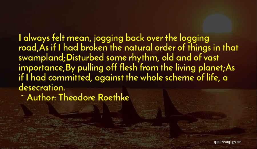 Theodore Roethke Quotes: I Always Felt Mean, Jogging Back Over The Logging Road,as If I Had Broken The Natural Order Of Things In