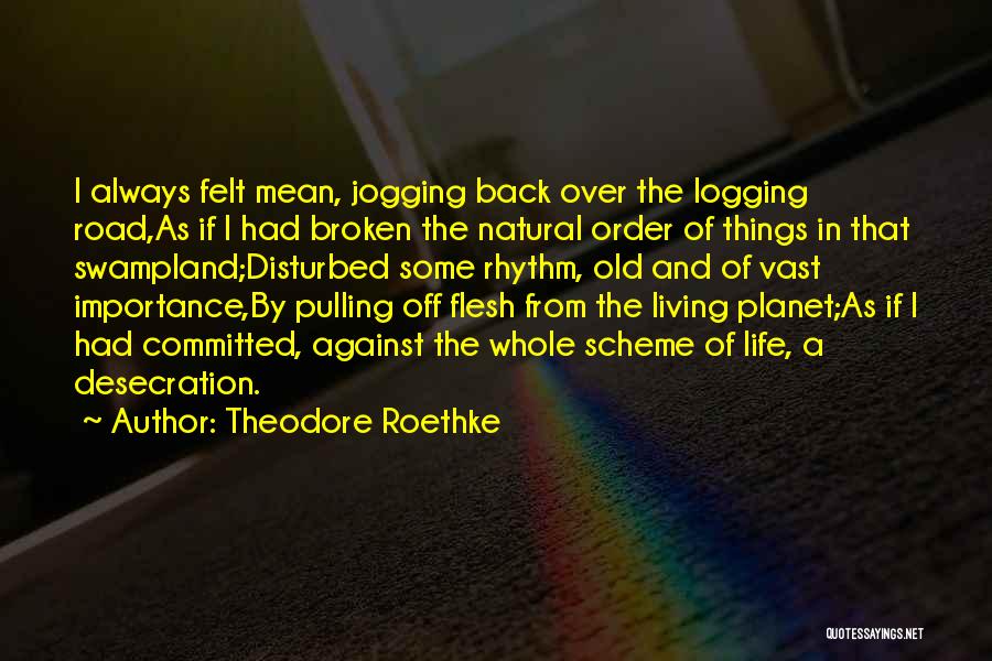 Theodore Roethke Quotes: I Always Felt Mean, Jogging Back Over The Logging Road,as If I Had Broken The Natural Order Of Things In