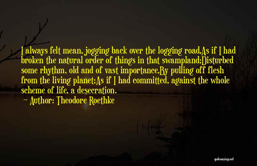 Theodore Roethke Quotes: I Always Felt Mean, Jogging Back Over The Logging Road,as If I Had Broken The Natural Order Of Things In