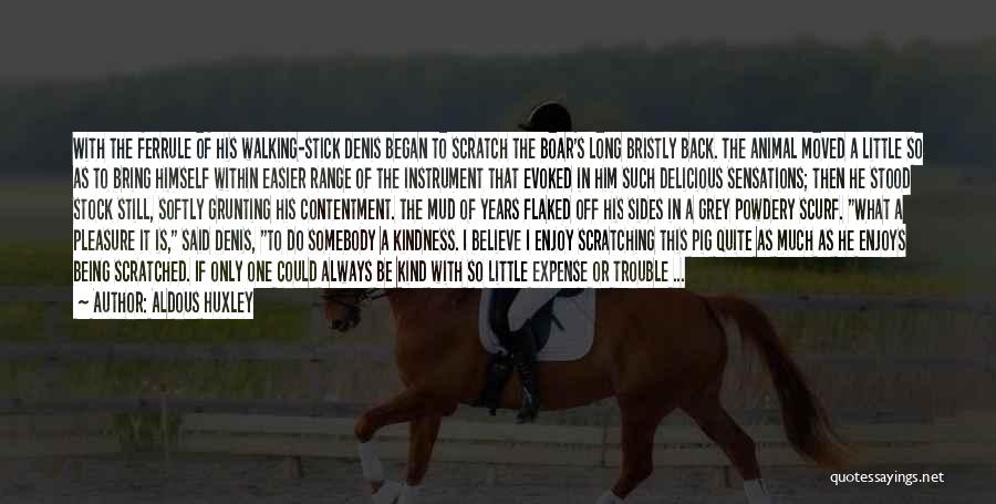 Aldous Huxley Quotes: With The Ferrule Of His Walking-stick Denis Began To Scratch The Boar's Long Bristly Back. The Animal Moved A Little