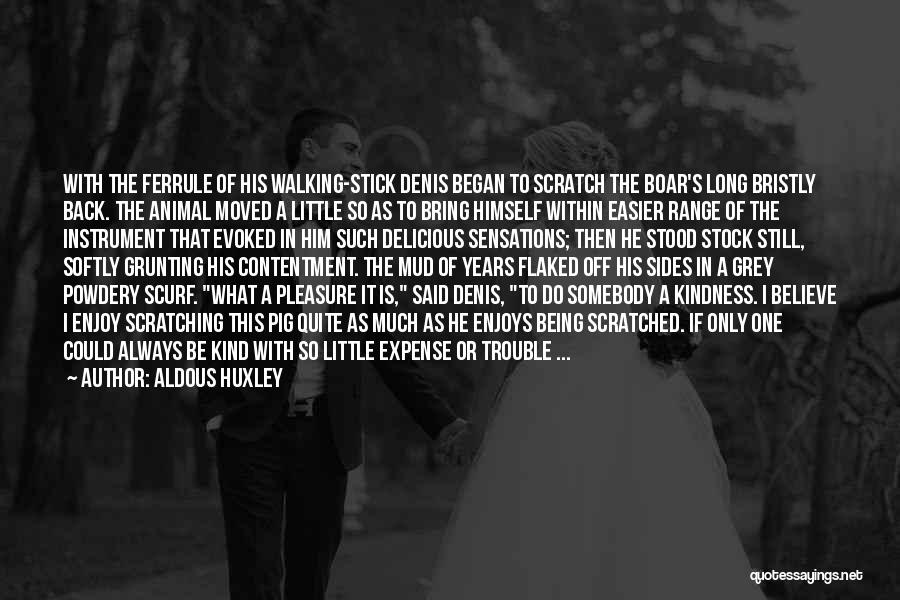 Aldous Huxley Quotes: With The Ferrule Of His Walking-stick Denis Began To Scratch The Boar's Long Bristly Back. The Animal Moved A Little