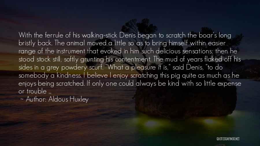 Aldous Huxley Quotes: With The Ferrule Of His Walking-stick Denis Began To Scratch The Boar's Long Bristly Back. The Animal Moved A Little