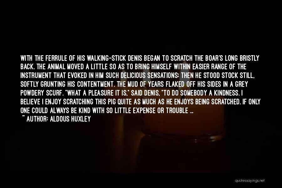 Aldous Huxley Quotes: With The Ferrule Of His Walking-stick Denis Began To Scratch The Boar's Long Bristly Back. The Animal Moved A Little