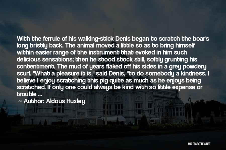 Aldous Huxley Quotes: With The Ferrule Of His Walking-stick Denis Began To Scratch The Boar's Long Bristly Back. The Animal Moved A Little