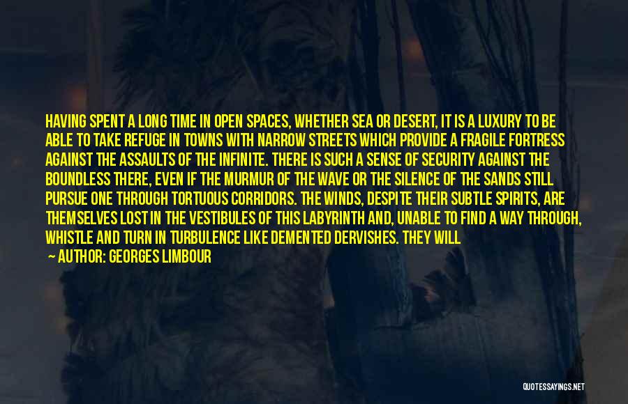 Georges Limbour Quotes: Having Spent A Long Time In Open Spaces, Whether Sea Or Desert, It Is A Luxury To Be Able To