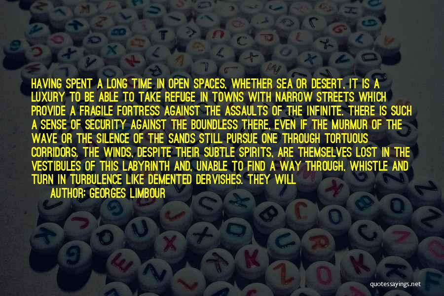 Georges Limbour Quotes: Having Spent A Long Time In Open Spaces, Whether Sea Or Desert, It Is A Luxury To Be Able To