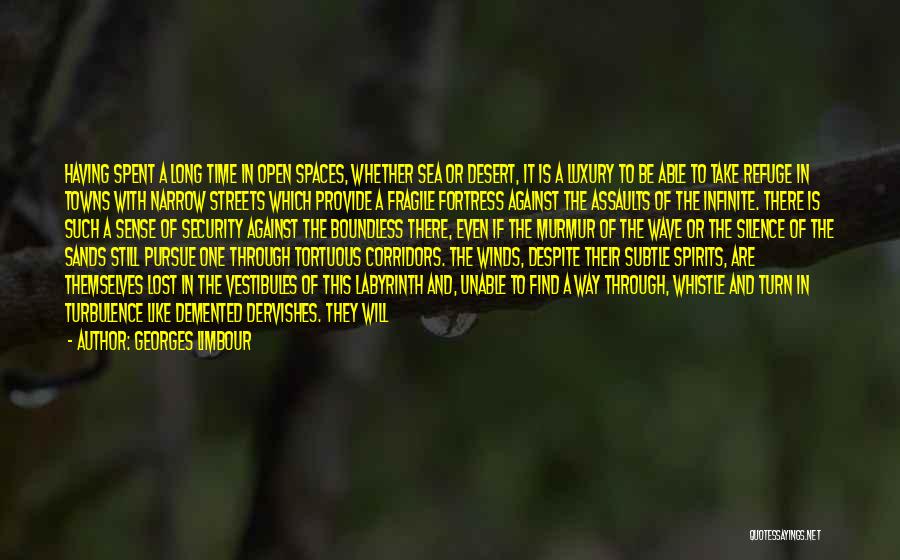 Georges Limbour Quotes: Having Spent A Long Time In Open Spaces, Whether Sea Or Desert, It Is A Luxury To Be Able To