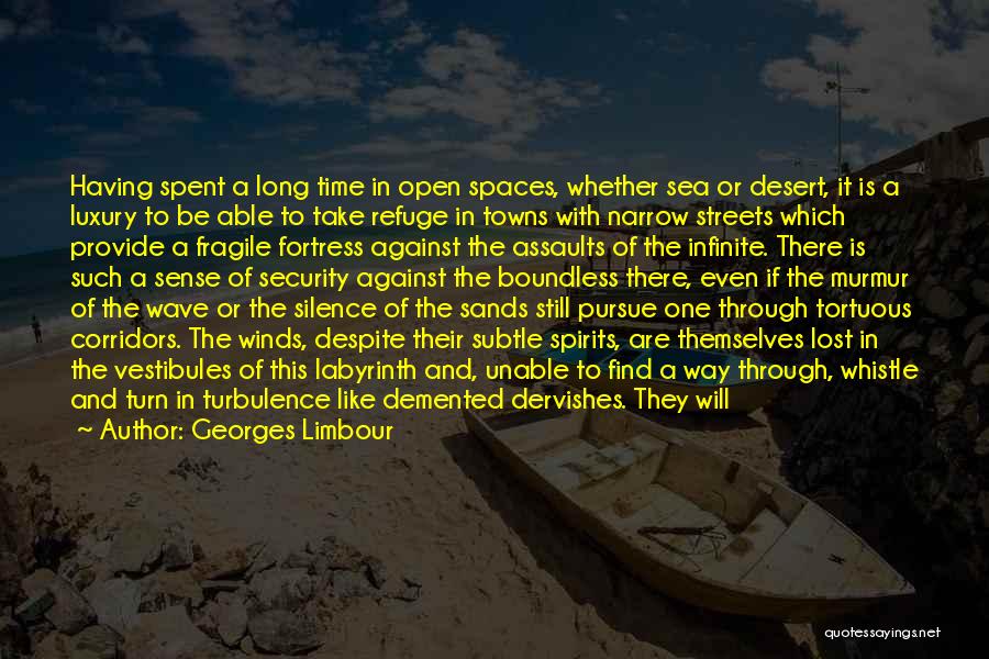 Georges Limbour Quotes: Having Spent A Long Time In Open Spaces, Whether Sea Or Desert, It Is A Luxury To Be Able To