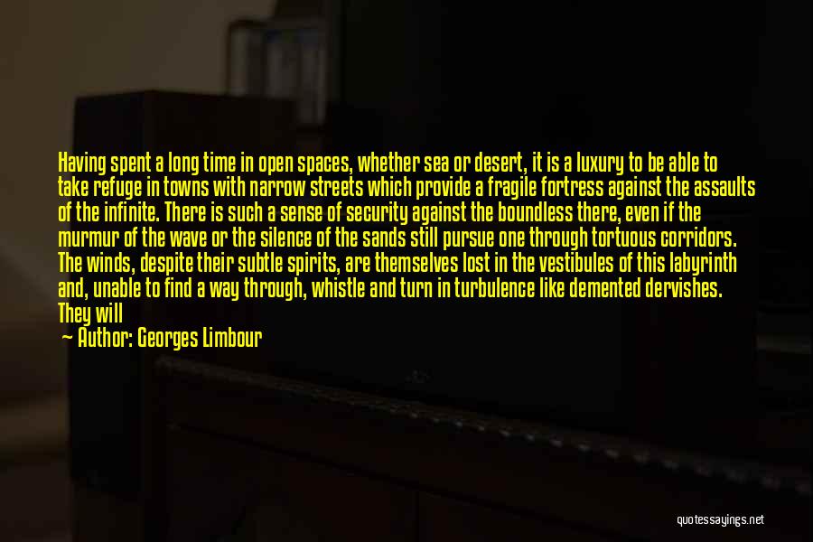 Georges Limbour Quotes: Having Spent A Long Time In Open Spaces, Whether Sea Or Desert, It Is A Luxury To Be Able To