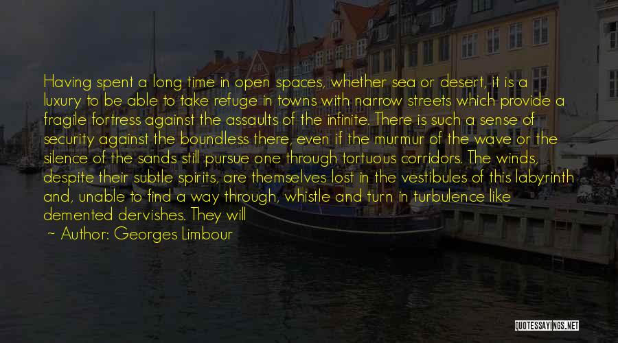 Georges Limbour Quotes: Having Spent A Long Time In Open Spaces, Whether Sea Or Desert, It Is A Luxury To Be Able To