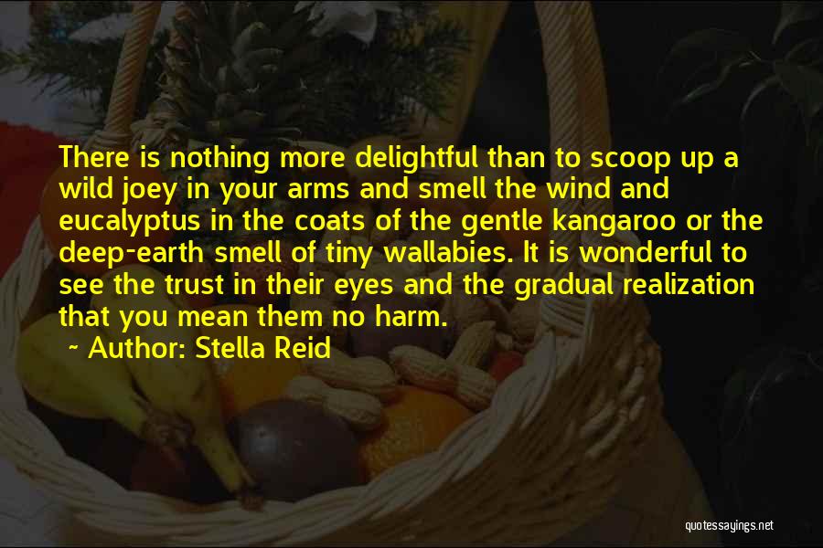 Stella Reid Quotes: There Is Nothing More Delightful Than To Scoop Up A Wild Joey In Your Arms And Smell The Wind And