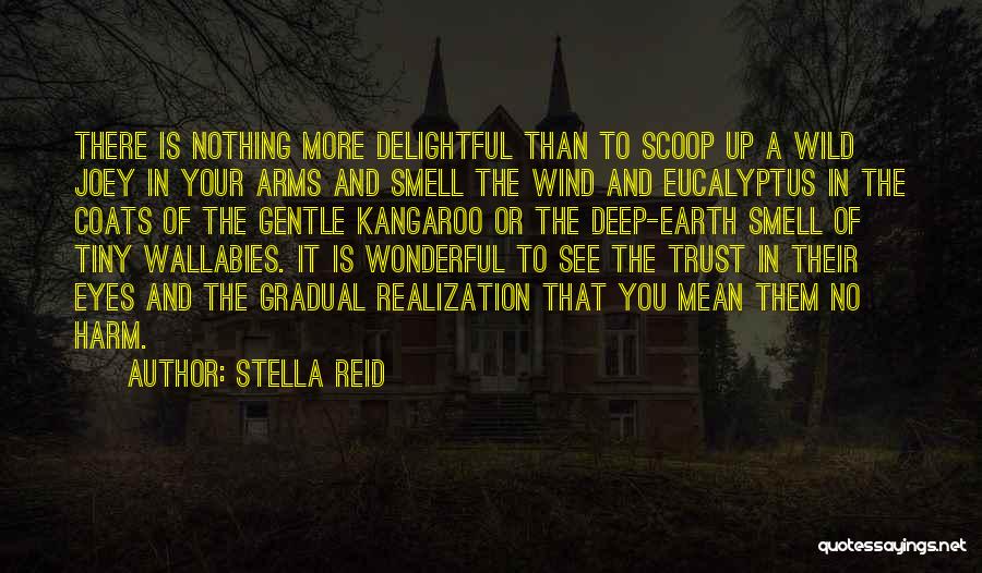 Stella Reid Quotes: There Is Nothing More Delightful Than To Scoop Up A Wild Joey In Your Arms And Smell The Wind And