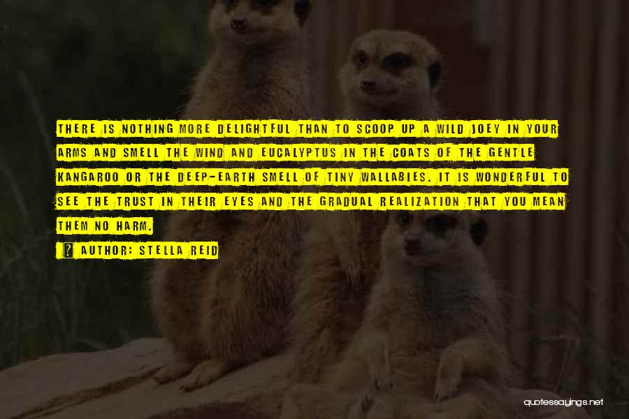 Stella Reid Quotes: There Is Nothing More Delightful Than To Scoop Up A Wild Joey In Your Arms And Smell The Wind And