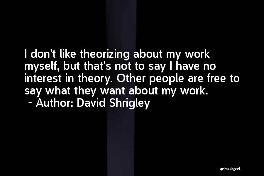 David Shrigley Quotes: I Don't Like Theorizing About My Work Myself, But That's Not To Say I Have No Interest In Theory. Other