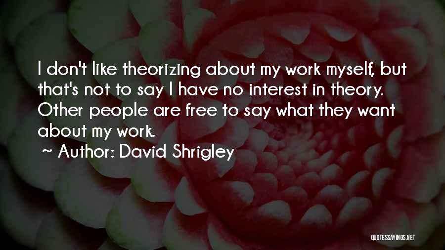 David Shrigley Quotes: I Don't Like Theorizing About My Work Myself, But That's Not To Say I Have No Interest In Theory. Other