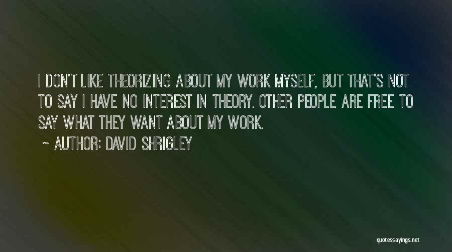 David Shrigley Quotes: I Don't Like Theorizing About My Work Myself, But That's Not To Say I Have No Interest In Theory. Other