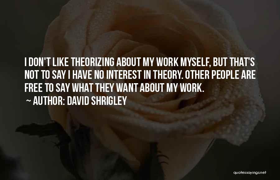 David Shrigley Quotes: I Don't Like Theorizing About My Work Myself, But That's Not To Say I Have No Interest In Theory. Other