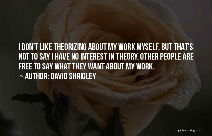 David Shrigley Quotes: I Don't Like Theorizing About My Work Myself, But That's Not To Say I Have No Interest In Theory. Other