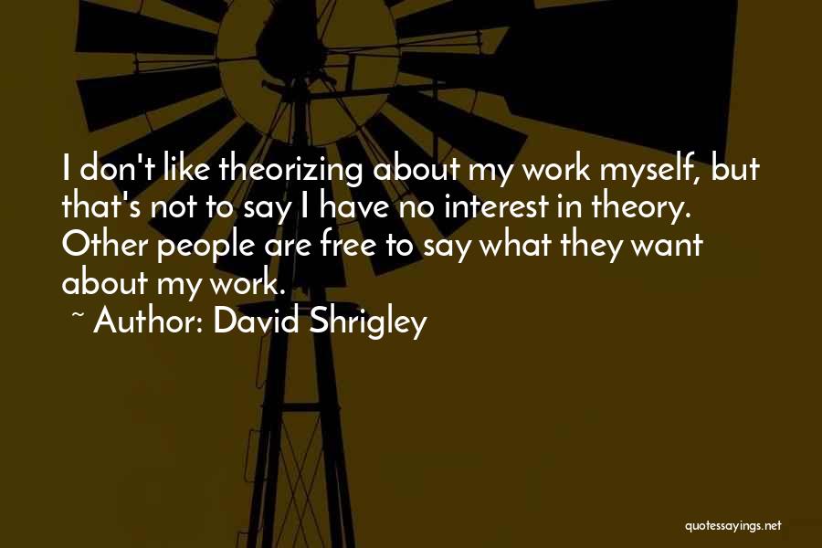 David Shrigley Quotes: I Don't Like Theorizing About My Work Myself, But That's Not To Say I Have No Interest In Theory. Other