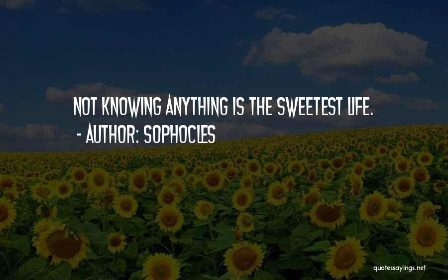 Sophocles Quotes: Not Knowing Anything Is The Sweetest Life.
