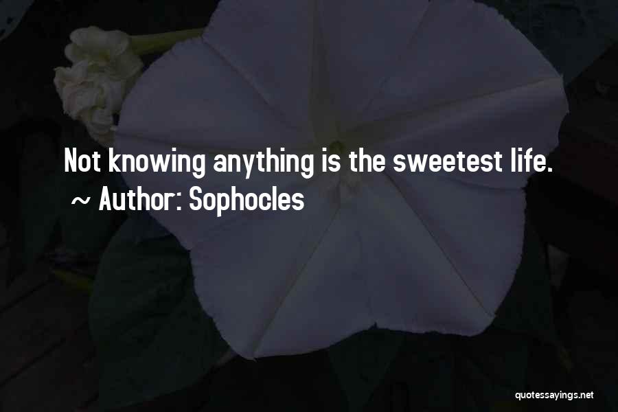 Sophocles Quotes: Not Knowing Anything Is The Sweetest Life.