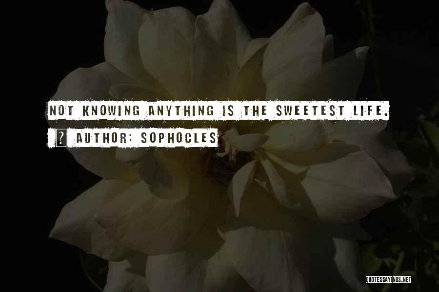 Sophocles Quotes: Not Knowing Anything Is The Sweetest Life.