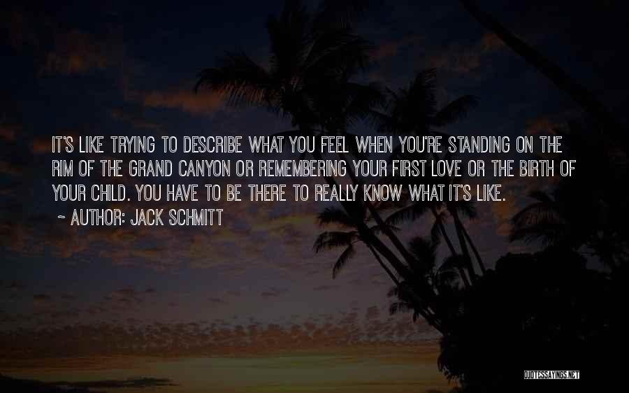 Jack Schmitt Quotes: It's Like Trying To Describe What You Feel When You're Standing On The Rim Of The Grand Canyon Or Remembering