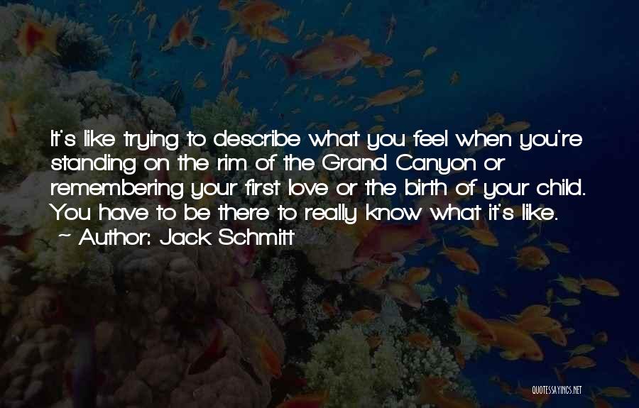 Jack Schmitt Quotes: It's Like Trying To Describe What You Feel When You're Standing On The Rim Of The Grand Canyon Or Remembering