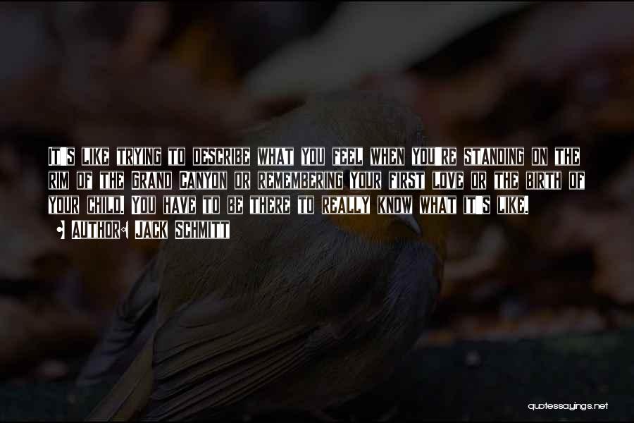 Jack Schmitt Quotes: It's Like Trying To Describe What You Feel When You're Standing On The Rim Of The Grand Canyon Or Remembering
