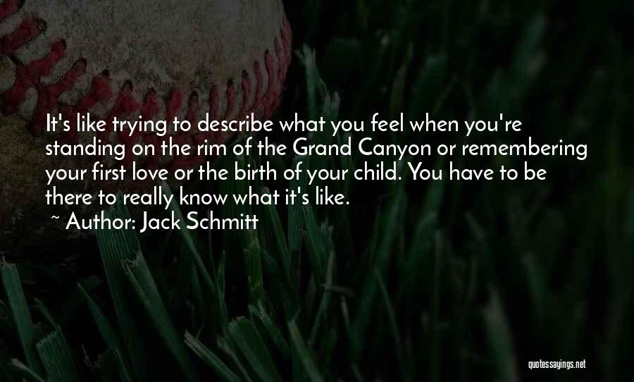 Jack Schmitt Quotes: It's Like Trying To Describe What You Feel When You're Standing On The Rim Of The Grand Canyon Or Remembering