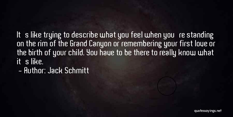 Jack Schmitt Quotes: It's Like Trying To Describe What You Feel When You're Standing On The Rim Of The Grand Canyon Or Remembering