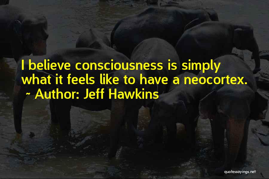 Jeff Hawkins Quotes: I Believe Consciousness Is Simply What It Feels Like To Have A Neocortex.