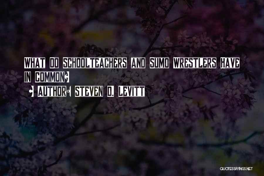 Steven D. Levitt Quotes: What Do Schoolteachers And Sumo Wrestlers Have In Common?