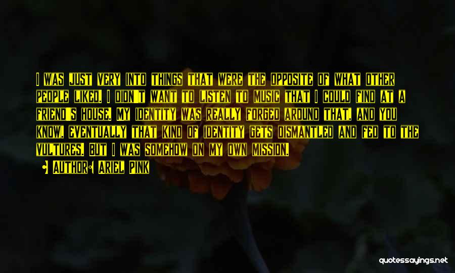 Ariel Pink Quotes: I Was Just Very Into Things That Were The Opposite Of What Other People Liked. I Didn't Want To Listen