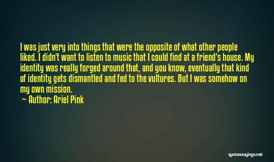 Ariel Pink Quotes: I Was Just Very Into Things That Were The Opposite Of What Other People Liked. I Didn't Want To Listen