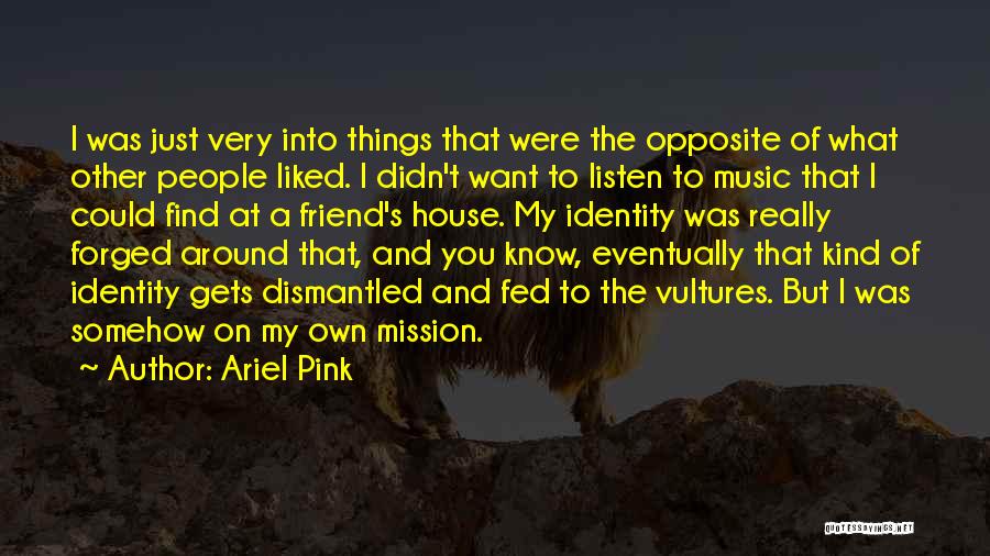 Ariel Pink Quotes: I Was Just Very Into Things That Were The Opposite Of What Other People Liked. I Didn't Want To Listen