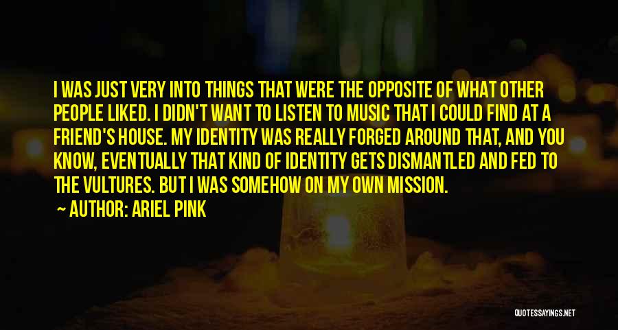 Ariel Pink Quotes: I Was Just Very Into Things That Were The Opposite Of What Other People Liked. I Didn't Want To Listen